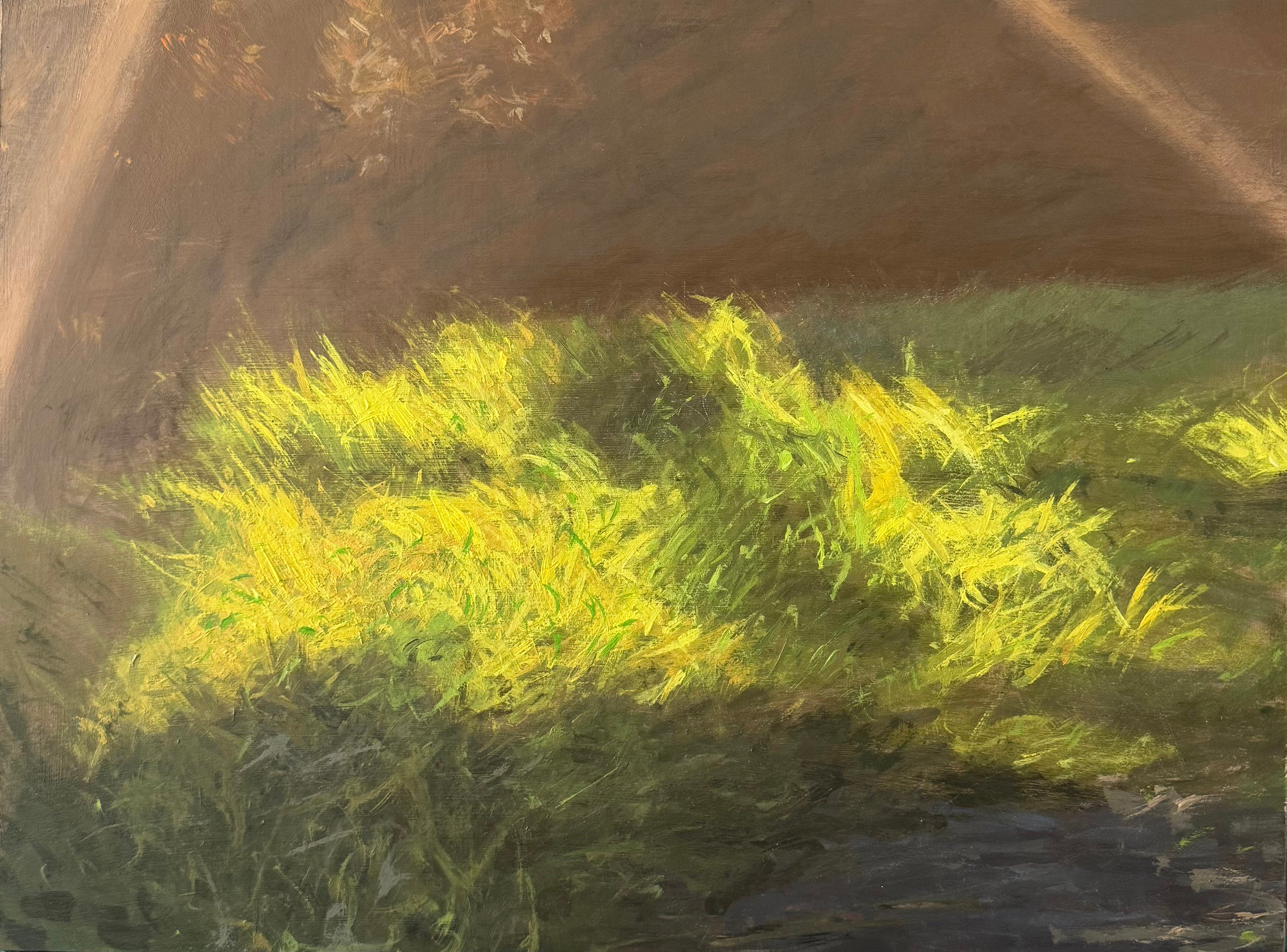 Meadow Tufts