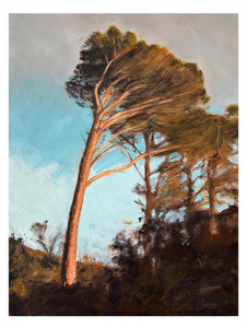 Spring Glow (Giclee Print) 1 PRINT = £150, ANY 2 PRINTS = £270, ANY 3 PRINTS = £360