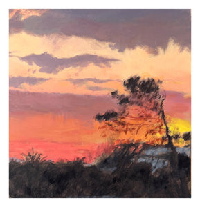 Stone Pine Sunrise